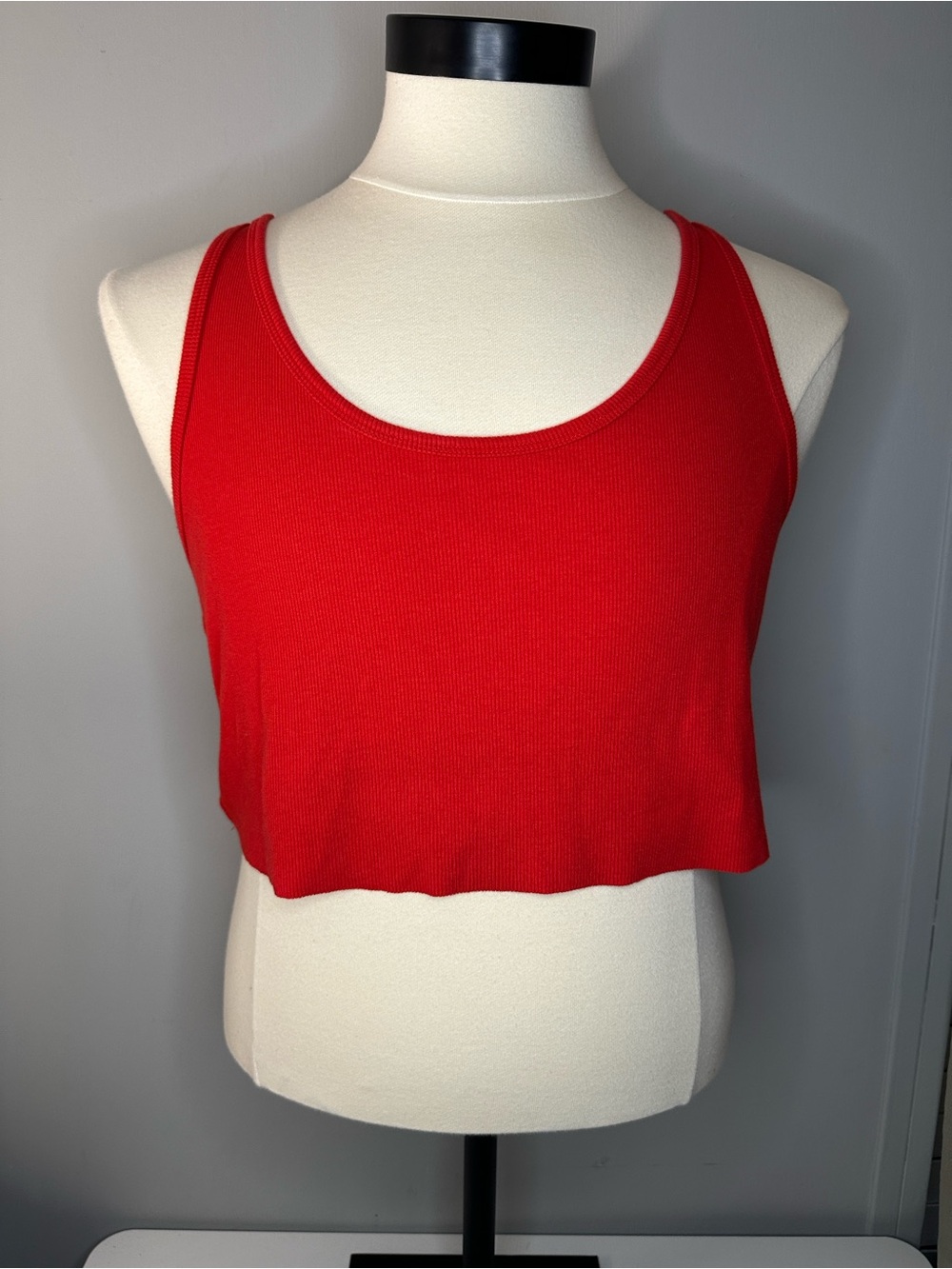 wild fable Red Ribbed Cropped Tank